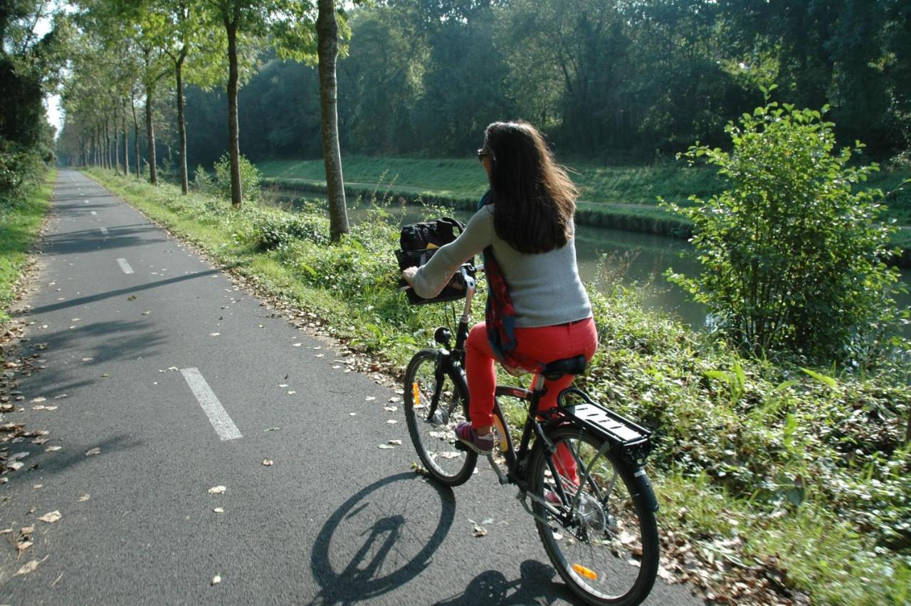 브리-수르-마르네 Gite Bord De Marne Paris 아파트 외부 사진